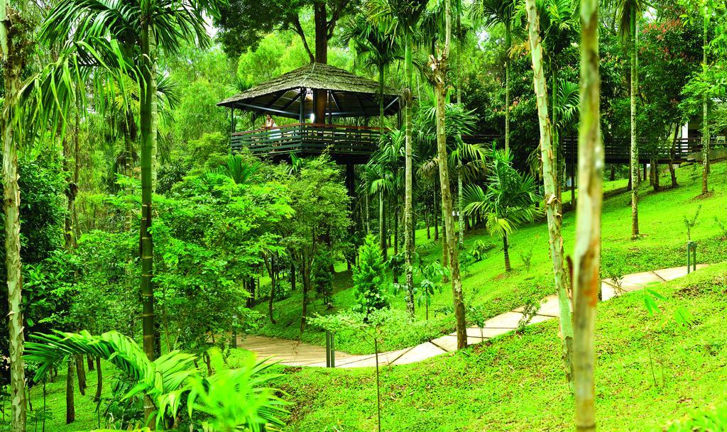 The Woods Resorts Wayanad Sultan Bathery Eksteriør billede
