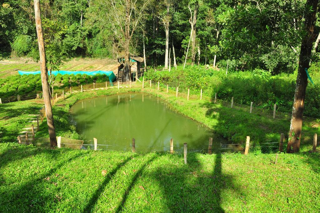 The Woods Resorts Wayanad Sultan Bathery Eksteriør billede