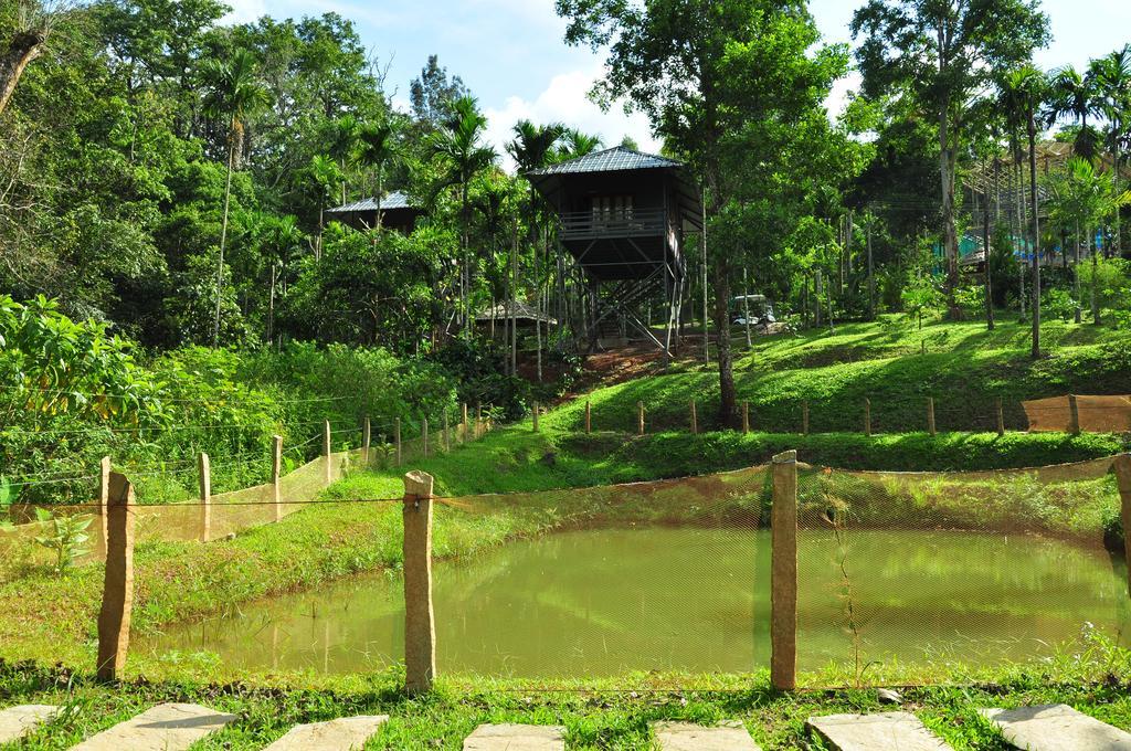 The Woods Resorts Wayanad Sultan Bathery Eksteriør billede