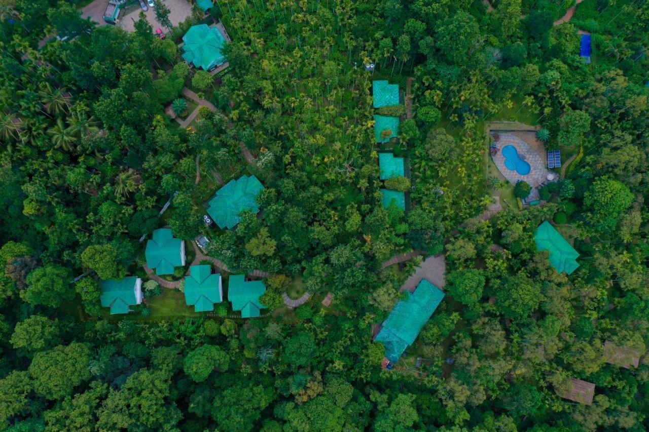 The Woods Resorts Wayanad Sultan Bathery Eksteriør billede