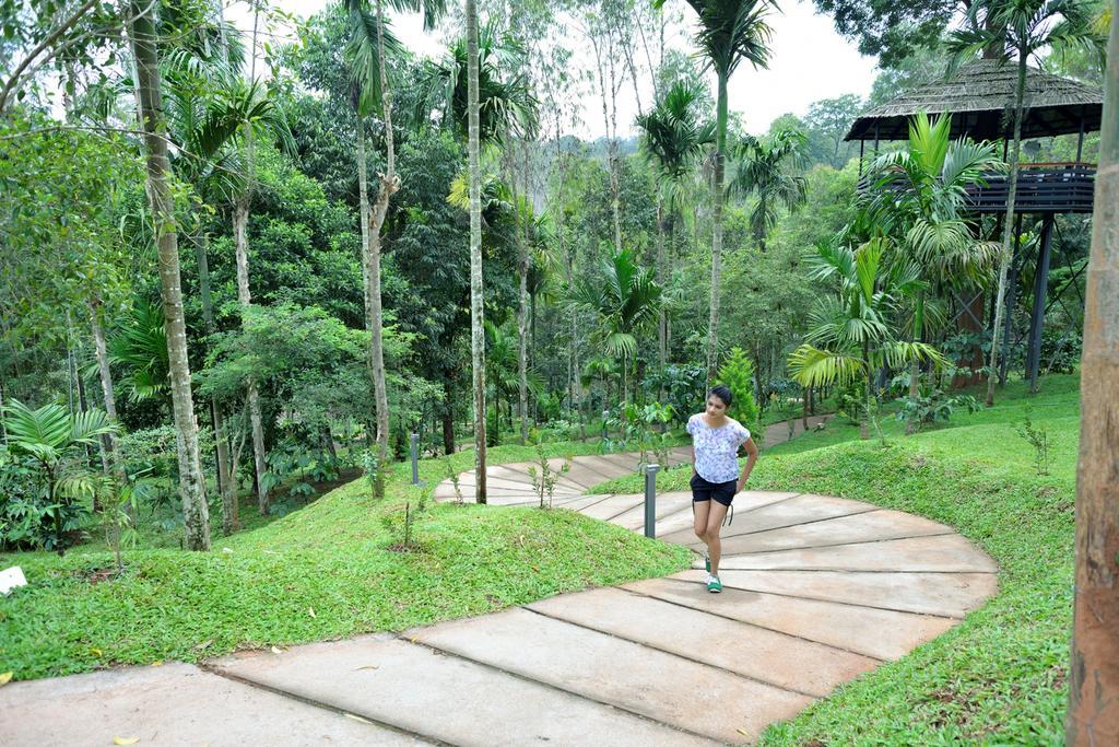 The Woods Resorts Wayanad Sultan Bathery Eksteriør billede