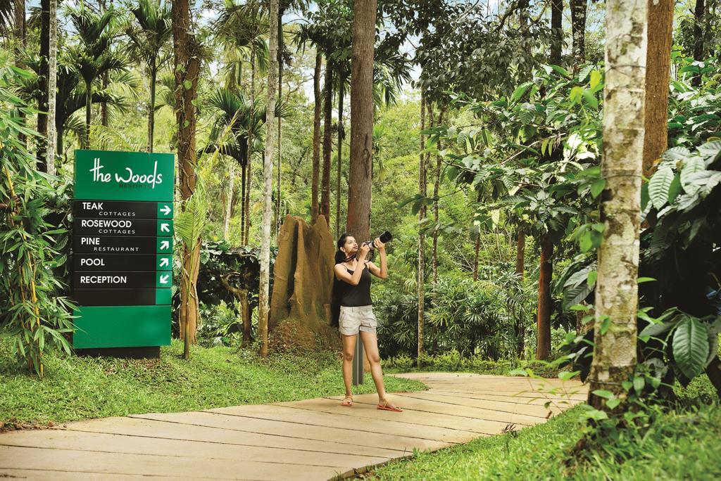 The Woods Resorts Wayanad Sultan Bathery Eksteriør billede