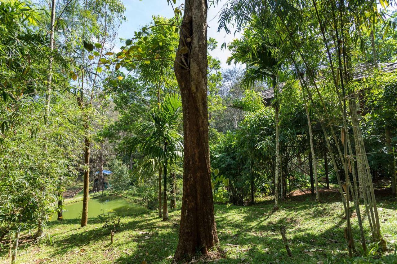 The Woods Resorts Wayanad Sultan Bathery Eksteriør billede